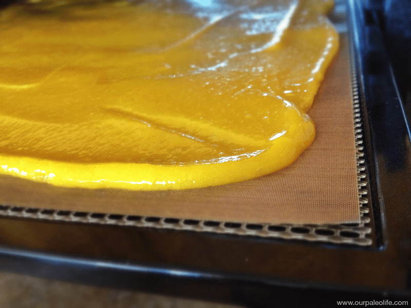 Mango Fruit Leather | Our Paleo Life