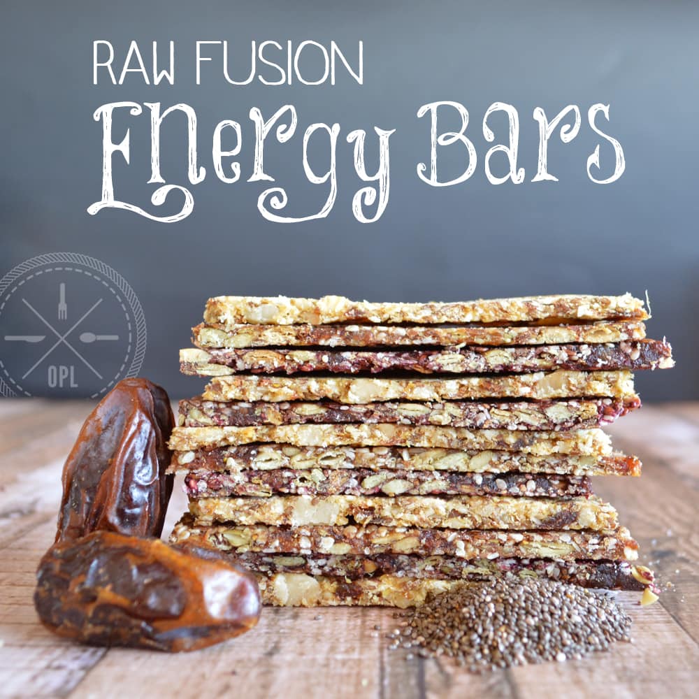 Raw Fusion Energy Bars | Our Paleo Life