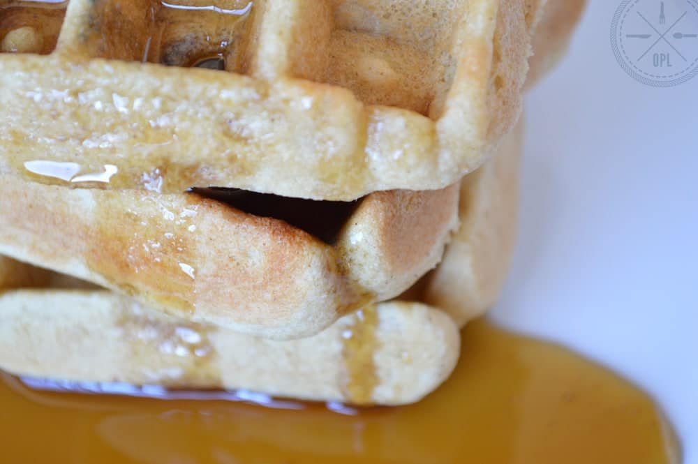 Paleo Waffles | Our Paleo Life