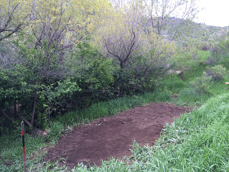 Flattening the Chicken Coop Area