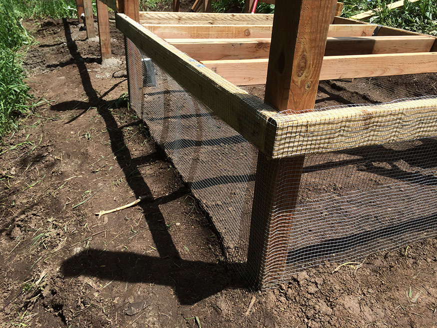 Under Coop Floor Chicken Area with Mesh Wire