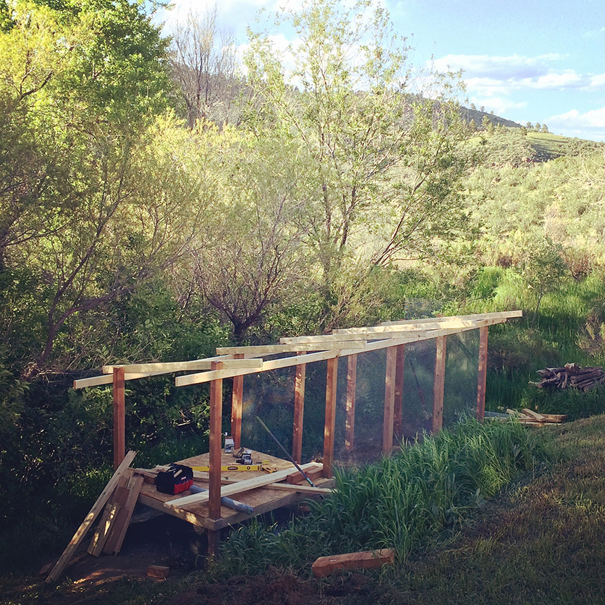 Initial Chicken Coop Columns with Mesh Wire Run