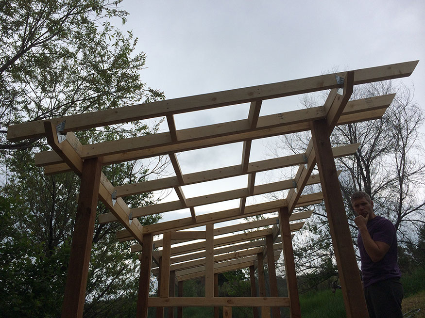 Roof View for the Chicken Coop