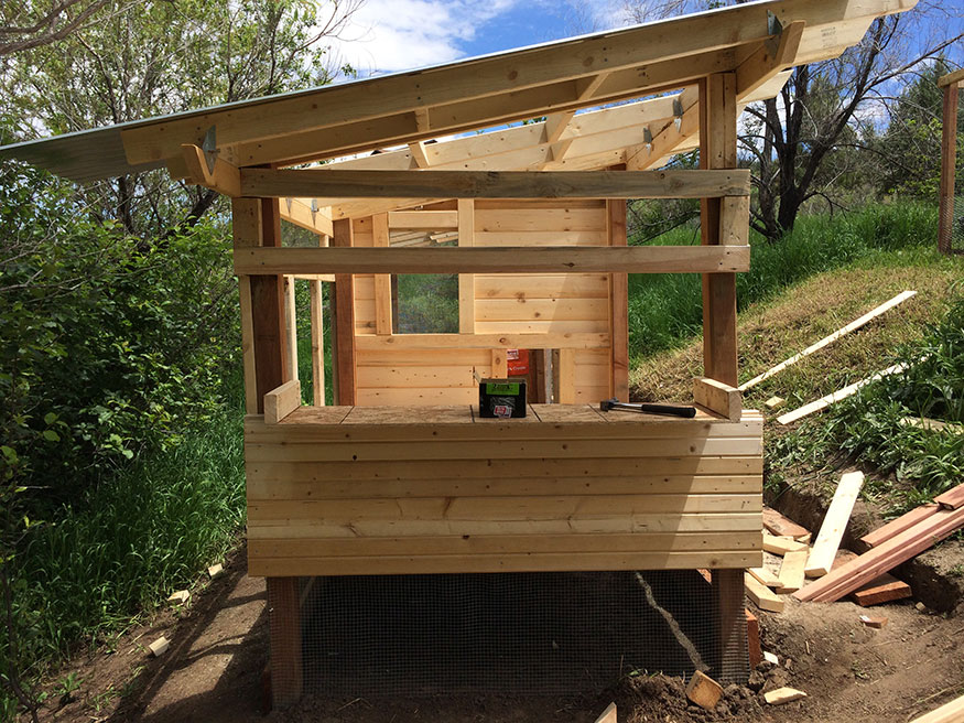 Chicken Coop Siding & Frame