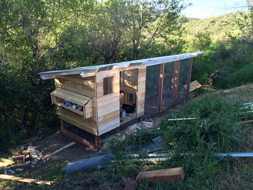 Chicken Coop Construction with Tongue and Groove Siding