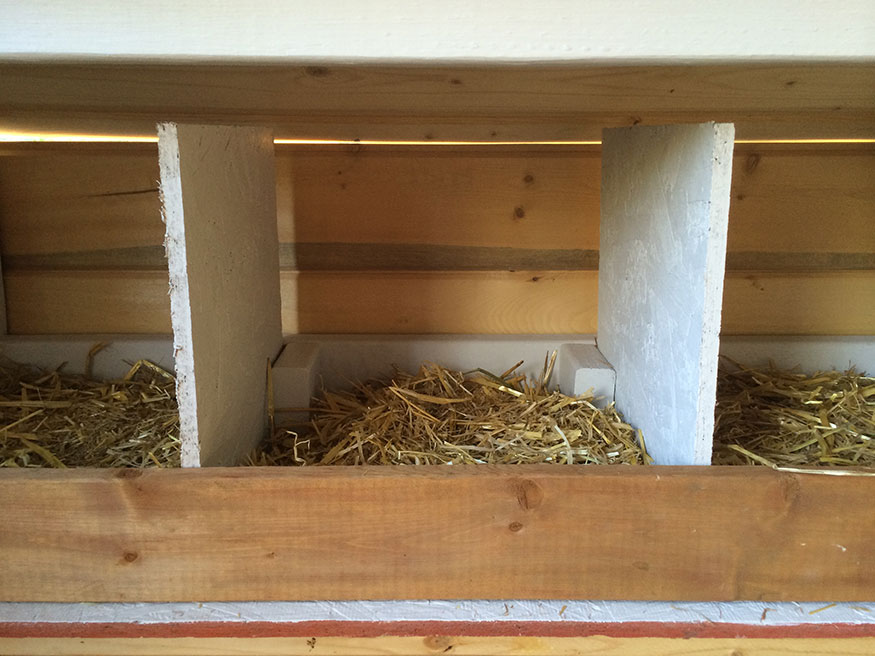 New Nesting Box Construction