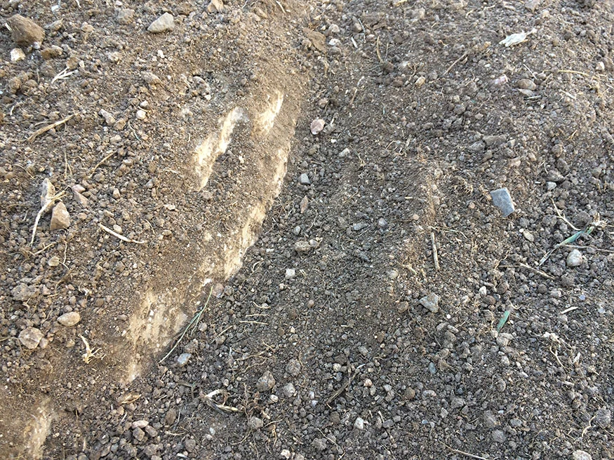 Colorado Dry, Rock Like Soil