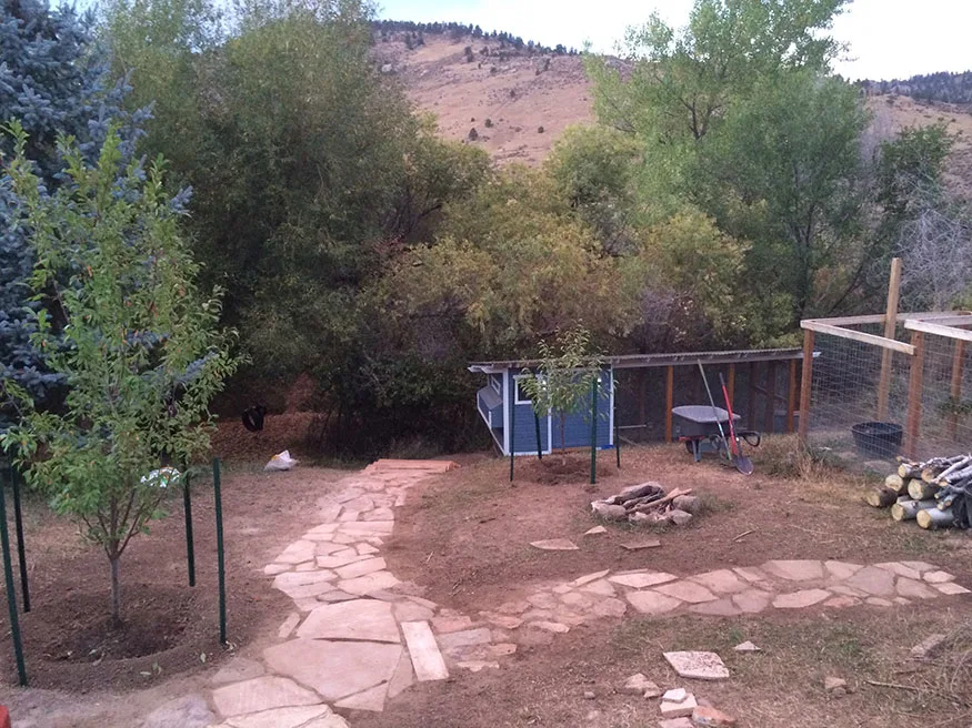 Colorado Foothills (Backyard Project)