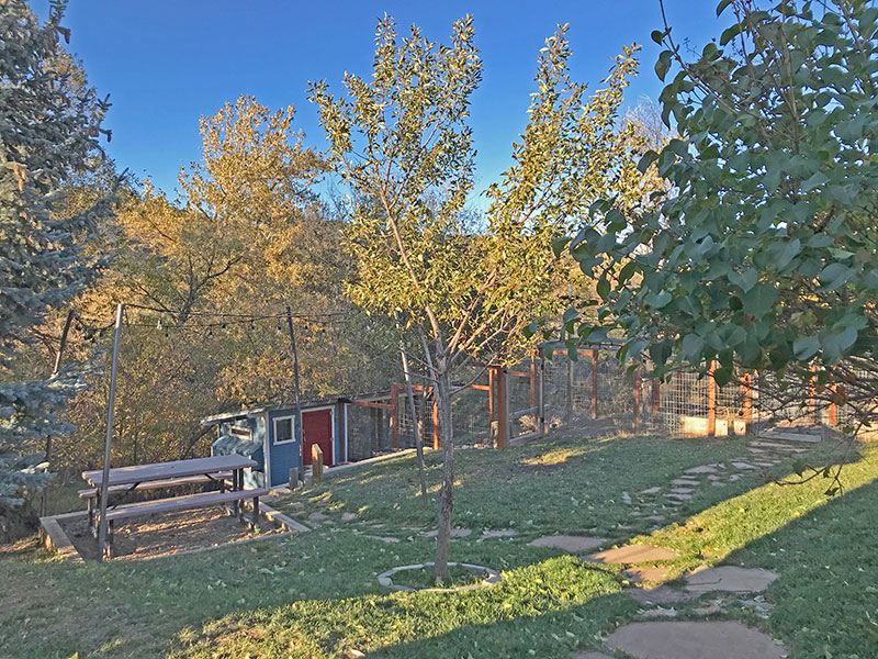 Late Season Fruit Tree