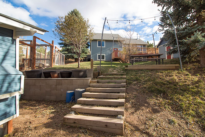 Wood Timber Steps