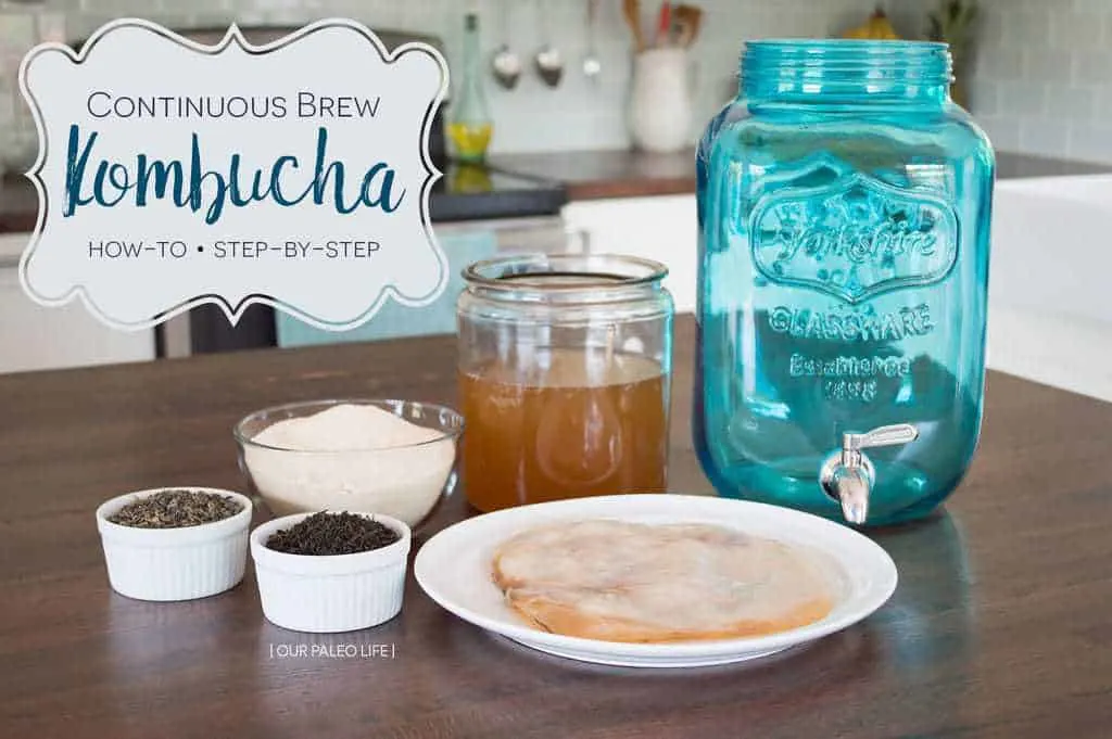 Continuous Brew Kombucha System