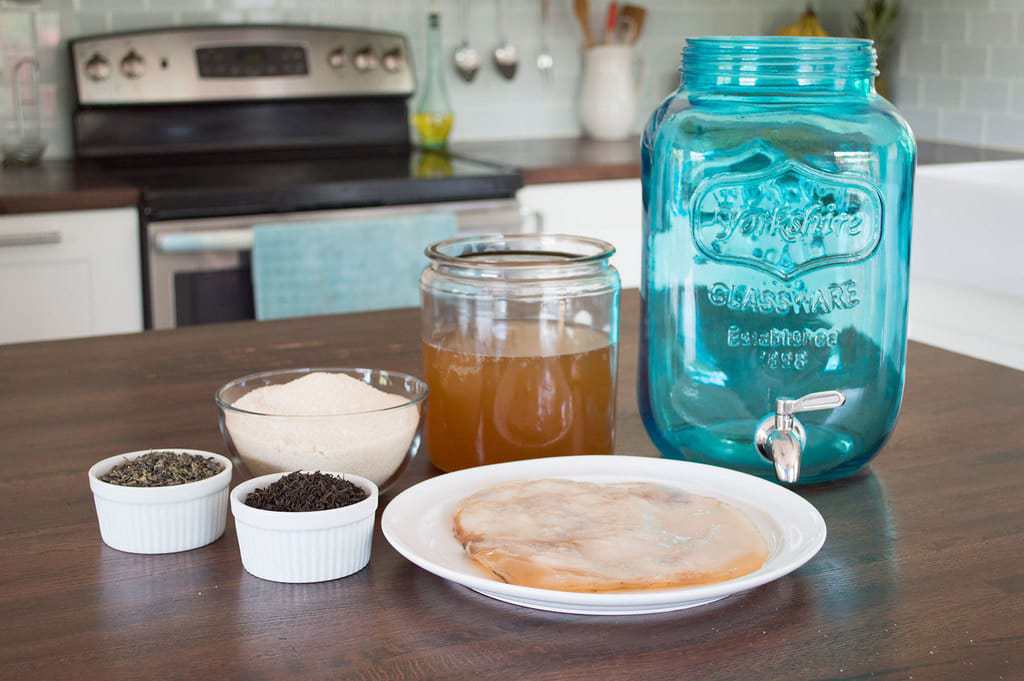 1 Gallon Mason Jar - Glass Kombucha Jar with Stainless Steel Tea Infuser -  Home Brewing and Fermenting