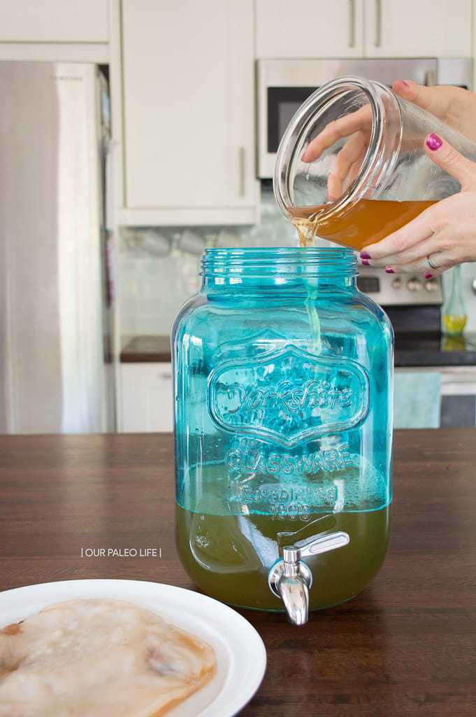 Continuous Brew Kombucha System