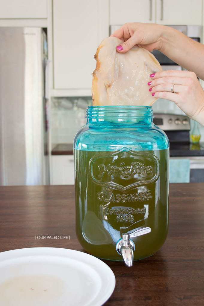 Continuous Brew Kombucha System