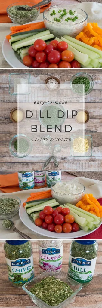 Dill Dip Seasoning Blend