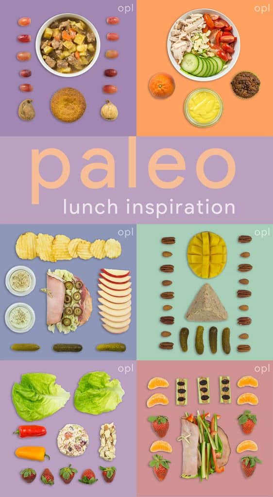 Paleo Lunch Inspiration (Quick & Easy Lunches)