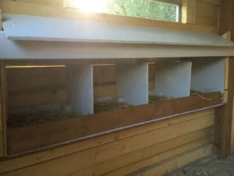 Almost complete nesting box