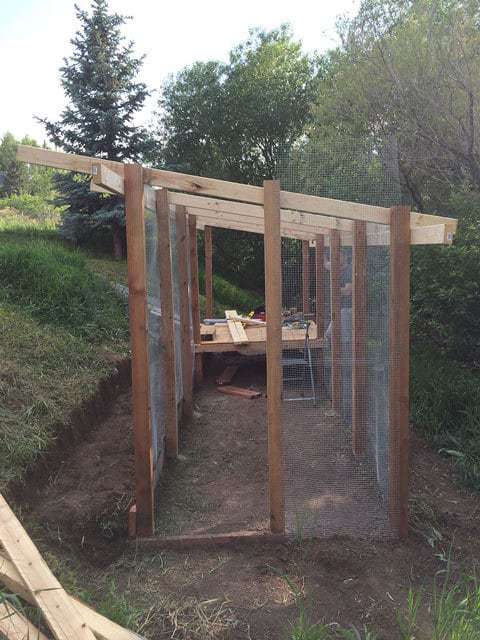 Chicken Coop Build