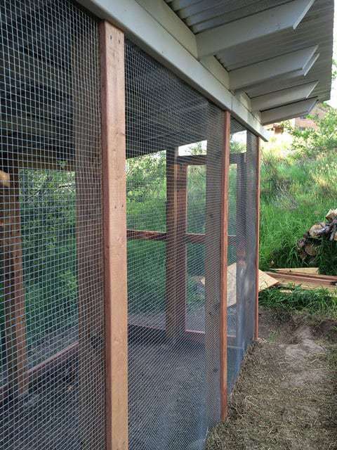 Finalized Chicken Run Construction