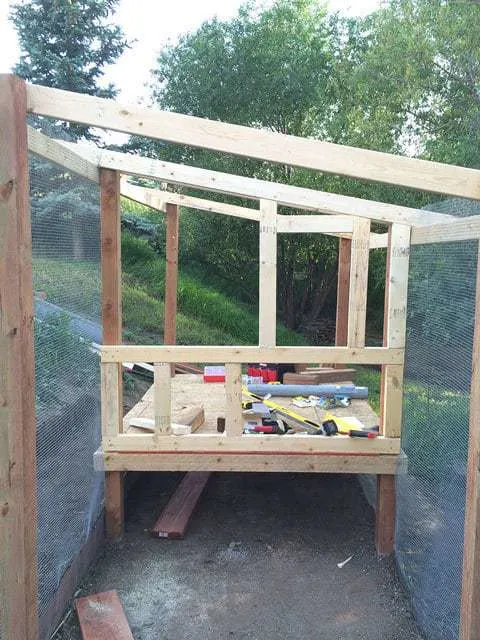 Framing the Chicken Coop Walls