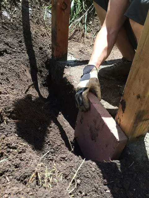 Laying pavers by run door-to-protect from digging predators