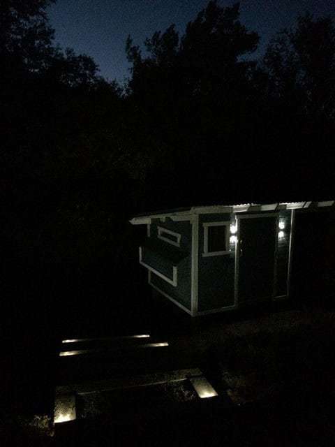 Solar lighting on the chicken coop and nearby steps