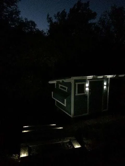 Solar lighting on the chicken coop and nearby steps