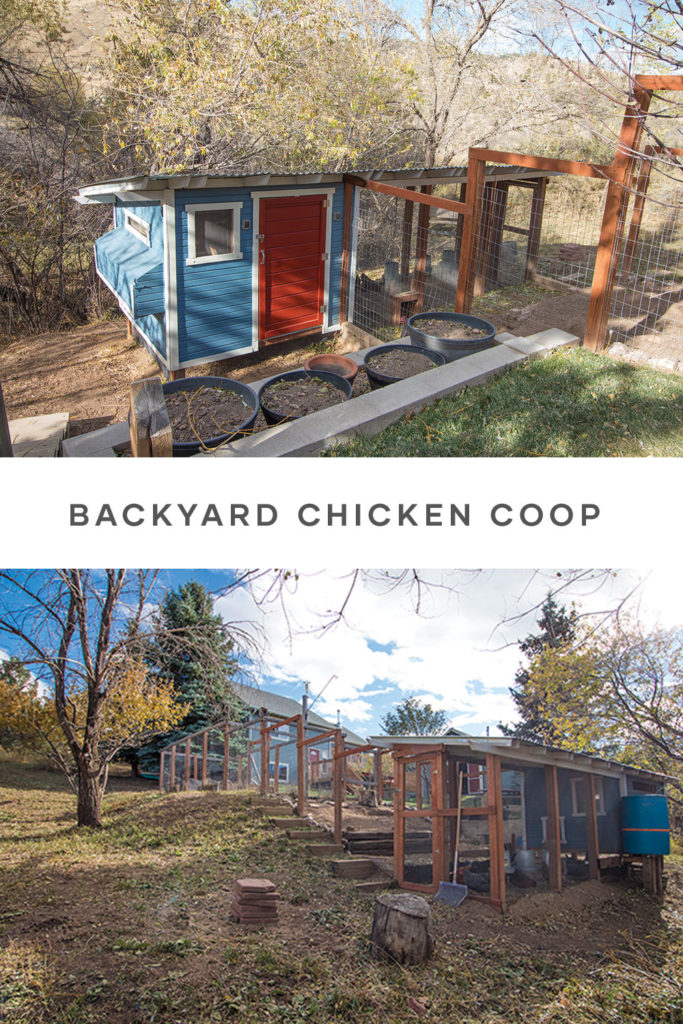 Backyard Chicken Coop