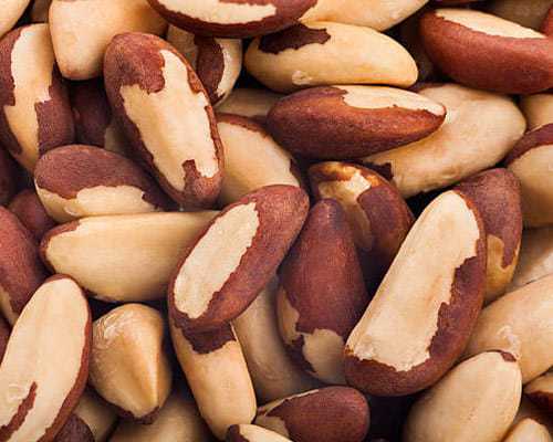 brazil nuts