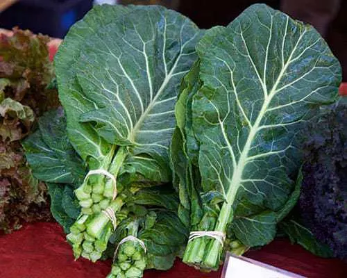 collard greens and Lettuce at the farmer's market