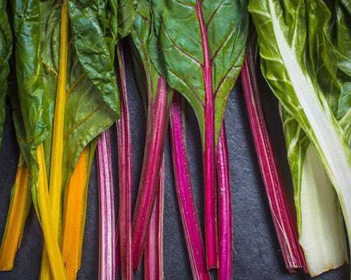 Swiss Chard