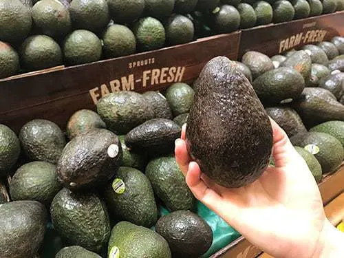 Avocado