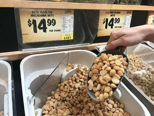 Macadamia Nuts