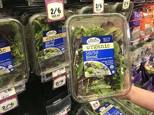 Salad Blend