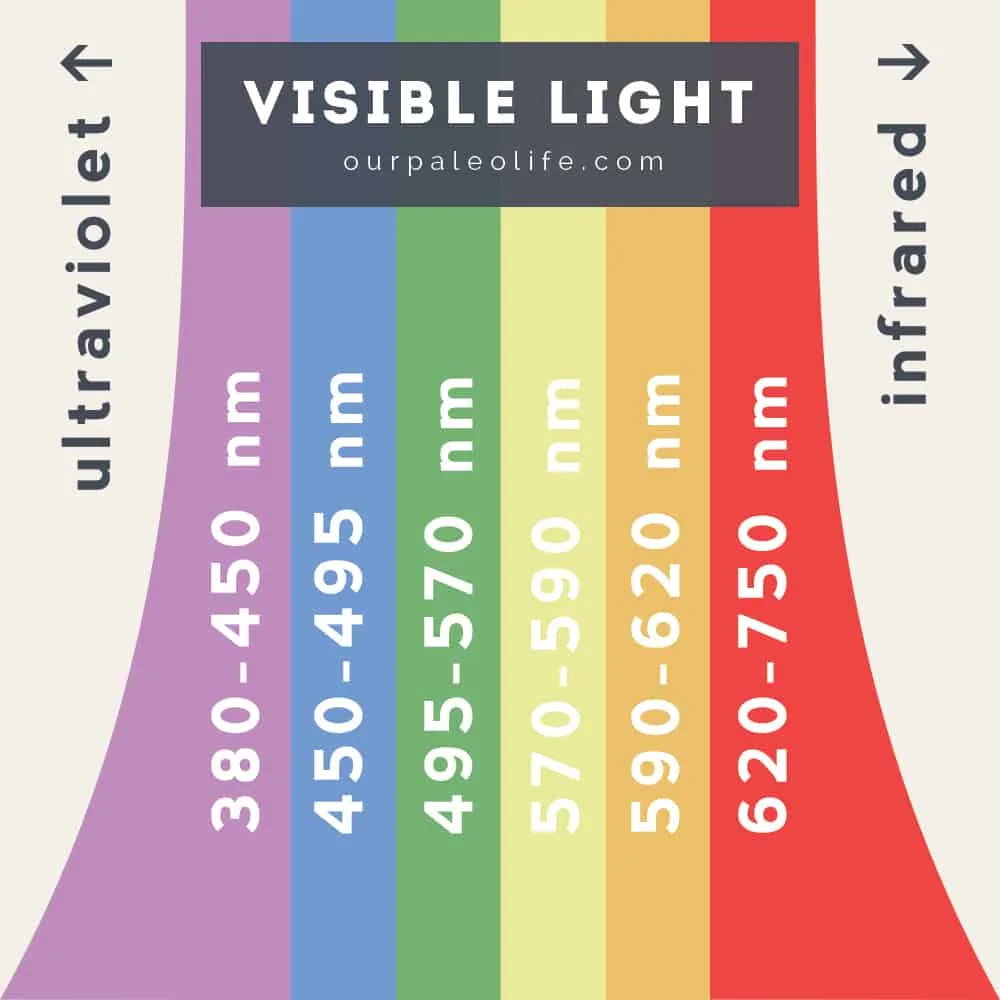 Visible Light Spectrum