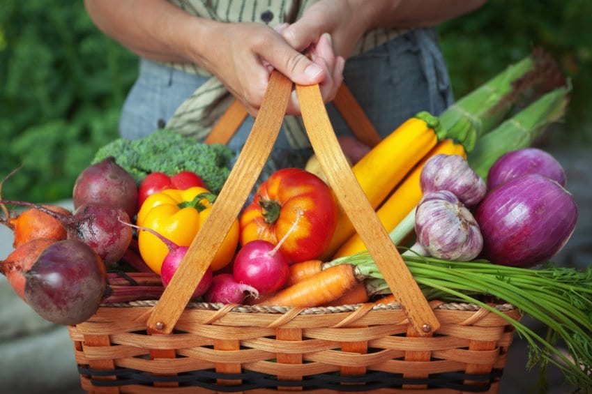 Eat Better with Paleo Eat Better with Paleo