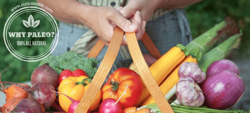 Why Paleo? Why Paleo?