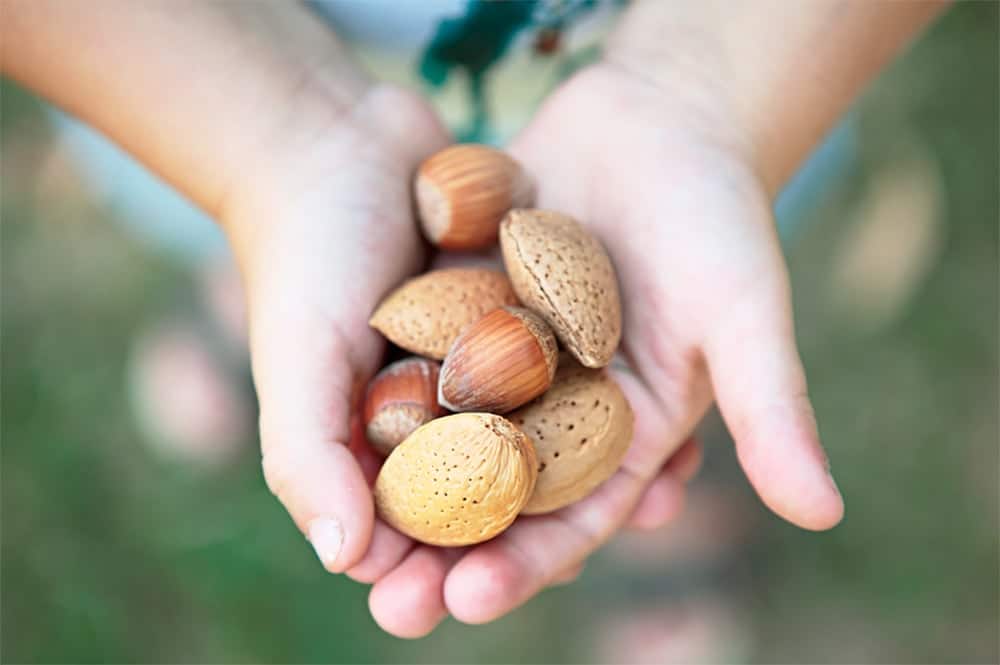 The Dark Side of Nuts by Nikki Jencen {for Our Paleo Life} The Dark Side of Nuts by Nikki Jencen {for Our Paleo Life}