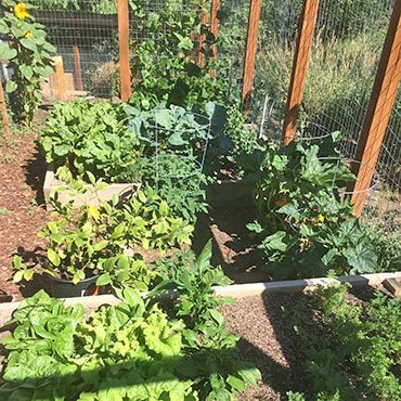 Colorado Garden Growth Colorado Garden Growth