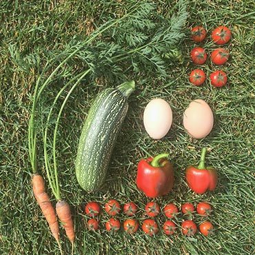 Colorado Gardening Rewards Colorado Gardening Rewards