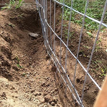 Dig Deep to Keep Bunnies Out Dig Deep to Keep Bunnies Out