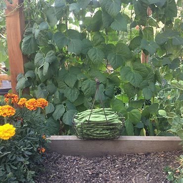 Garden Rewards Garden Rewards