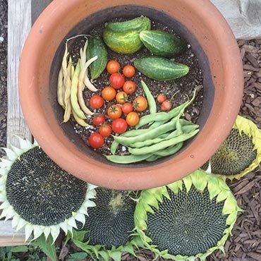 Gardening Rewards Gardening Rewards