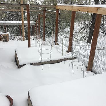 Late April Snowfall Late April Snowfall