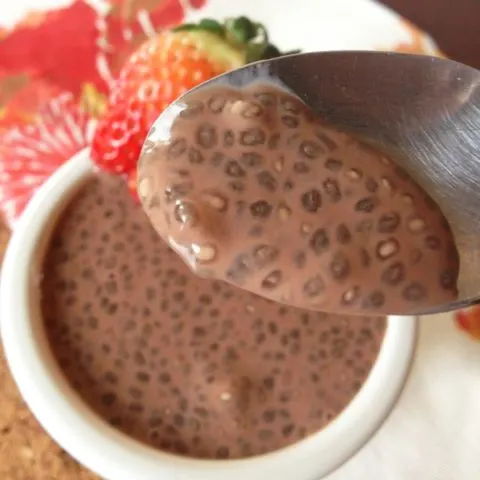 Chocolate Chia Pudding