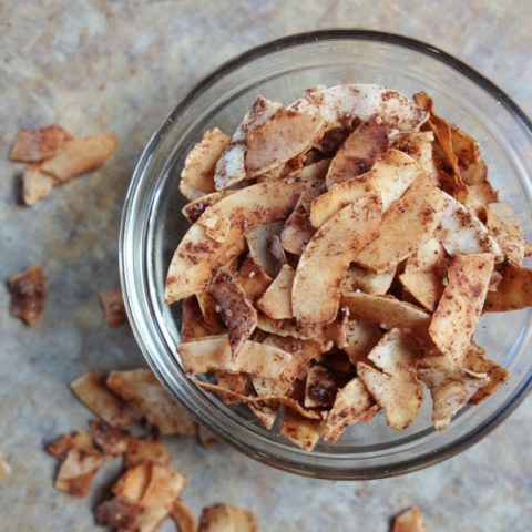 Food To Live Coconut Chips – Unsweetened, Unsulfured, Raw, Dried, Desiccated – Keto, Vegan, Gluten-Free