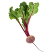 Beets Beets