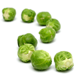 Brussels Sprouts Brussels Sprouts
