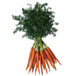 Carrots Carrots