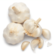 Garlic Garlic